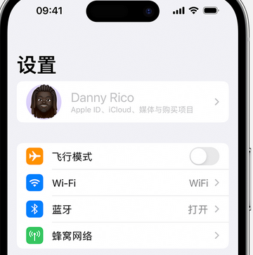 元宝山appleID维修服务iPhone设置中Apple ID显示为灰色无法使用 