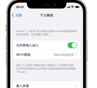 元宝山apple服务站点分享iPhone上个人热点丢失了怎么办 