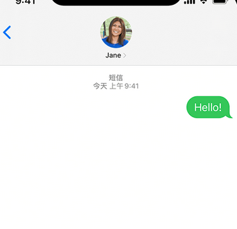 元宝山apple维修iPhone上无法正常发送iMessage信息