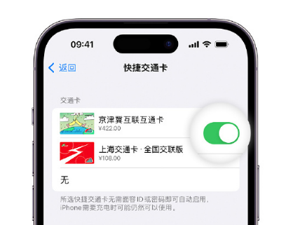 元宝山apple维修点分享iPhone上更换Apple Pay快捷交通卡手绘卡面 