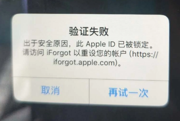 元宝山iPhone维修分享iPhone上正常登录或使用AppleID怎么办 