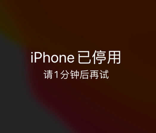 元宝山苹果手机维修分享:iPhone 显示“不可用”或“已停用”怎么办？还能保留数据吗？ 