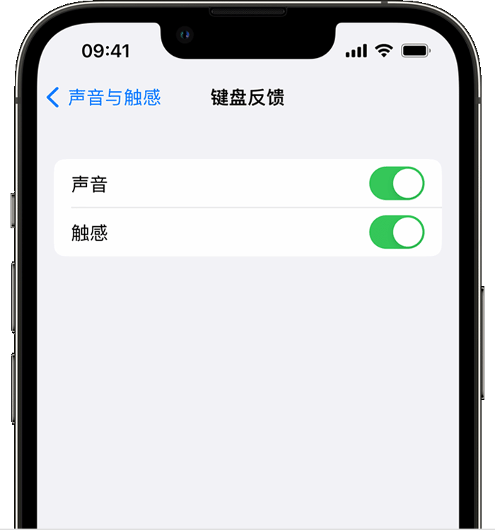 元宝山苹果14维修店分享如何在 iPhone 14 机型中使用触感键盘 