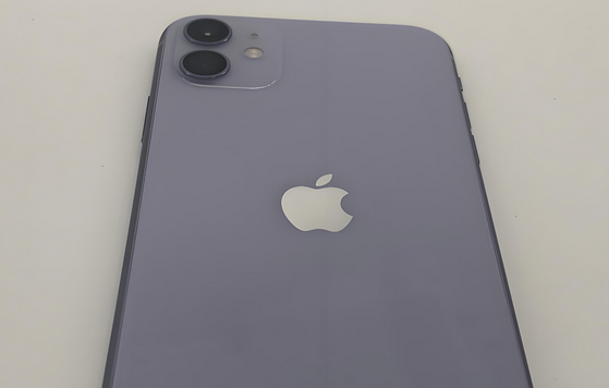 元宝山苹果11系统维修分享iPhone11手机系统崩溃无法开机如何解决 